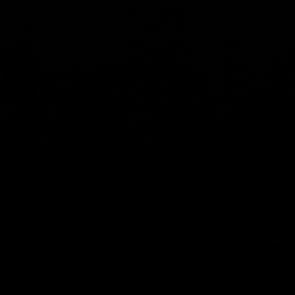 Meet your Posher, Tyanna - Picture 1 of 1